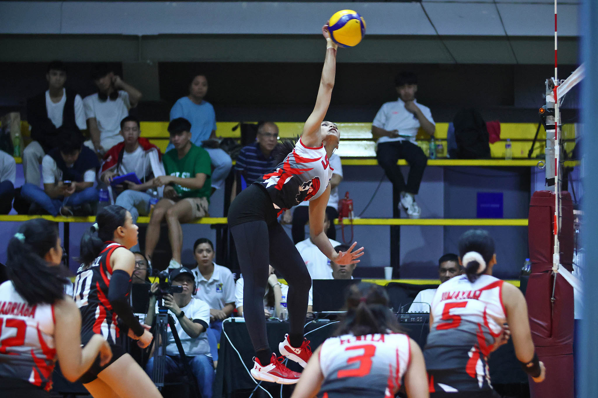Casiey Dongallo makes triumphant return to UE
