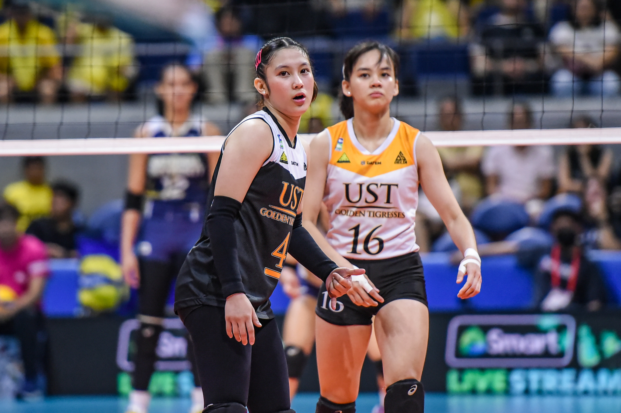 UST Tigresses aim for strong start vs Lyceum Lady Pirates